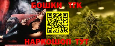 прущие грибы Шахты