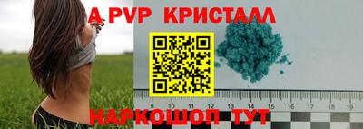 спиды Шелехов