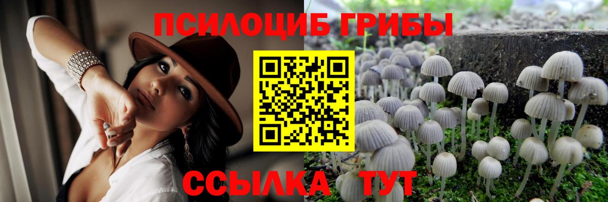 цены наркотик  Галлюциногенные грибы Cubensis  Вход с VPN  Артём 